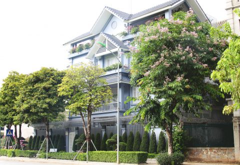 An Khang Villa có hai mặt tiền với tuyến đường trước rộng 11,5m và tuyến đường sau rộng 7m