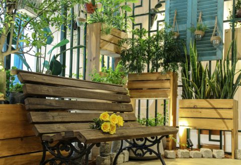 Vườn của mẹ được thiết kế nơi loggia là điểm nhấn thiên nhiên cho căn hộ